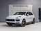 2023 Porsche Cayenne Cayenne Platinum Edition (MY23)