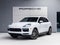 2023 Porsche Cayenne Cayenne Platinum Edition (MY23)